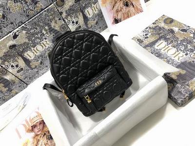 DIOR Handbags 460